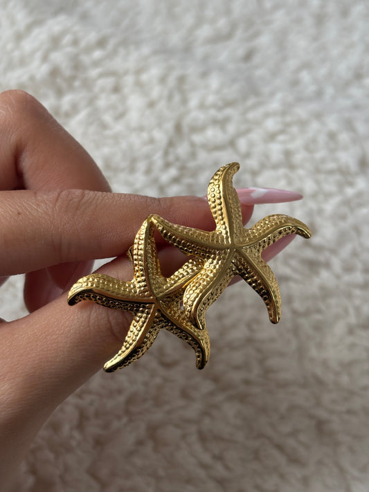 Boucles d’oreilles Alae